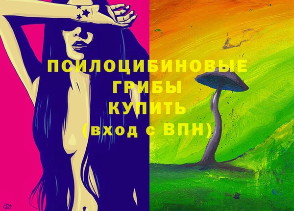 гашик Алексеевка