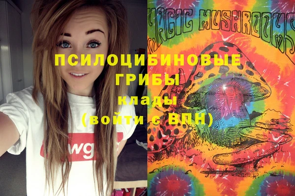 крисы Зерноград